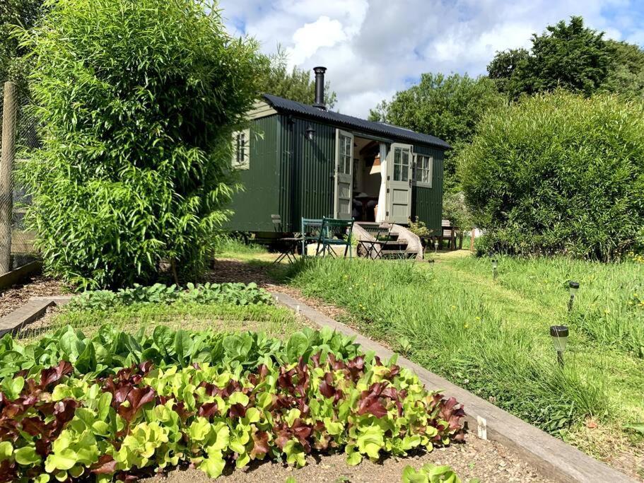Rushford Shepherd'S Hut Newton Abbot Exterior photo